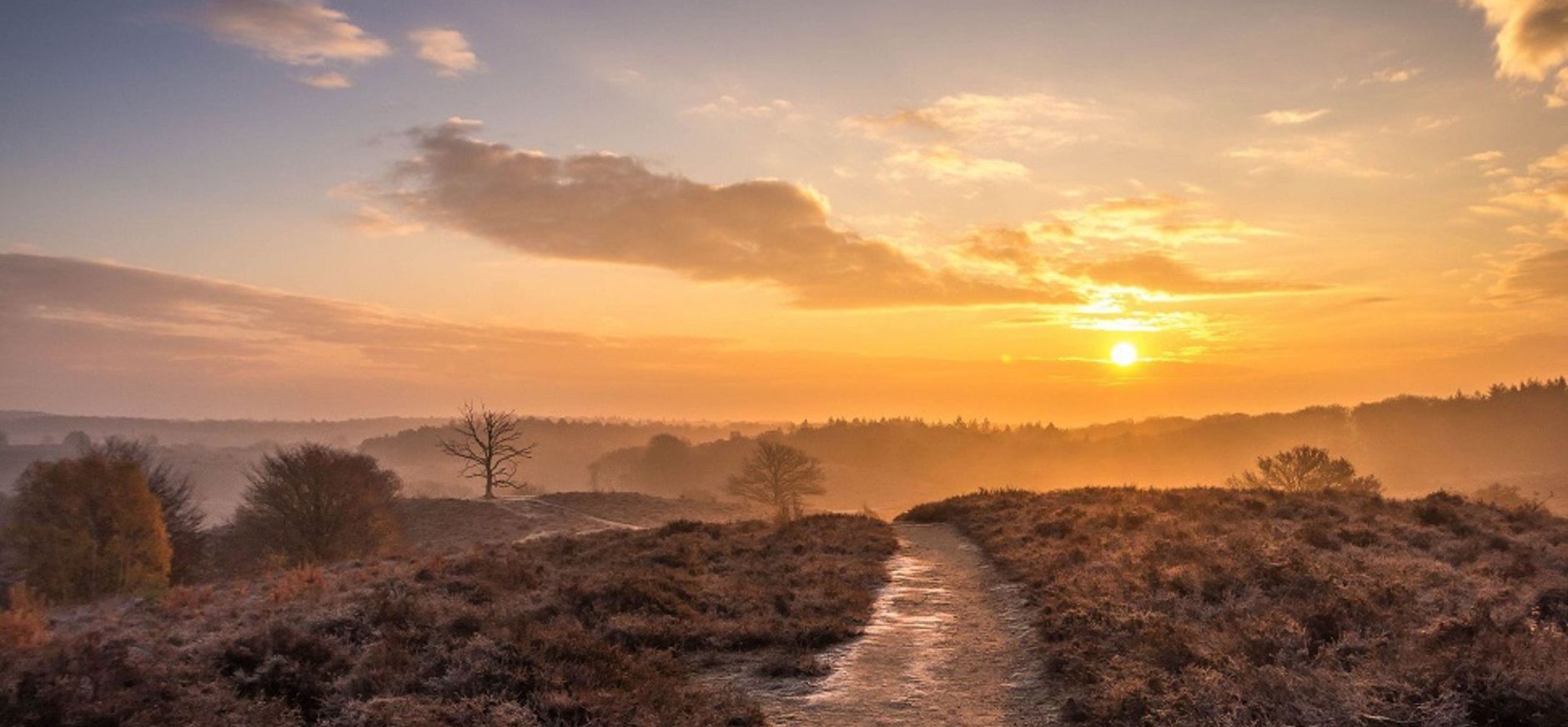 Recreatiezonering op de Veluwe om de natuur te beleven en te beschermen