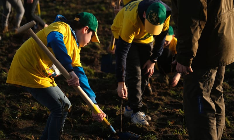 boomfeestdag weert 3