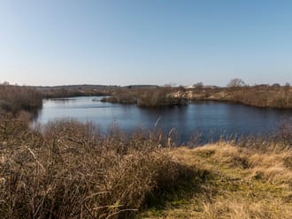 Zeepeduinen