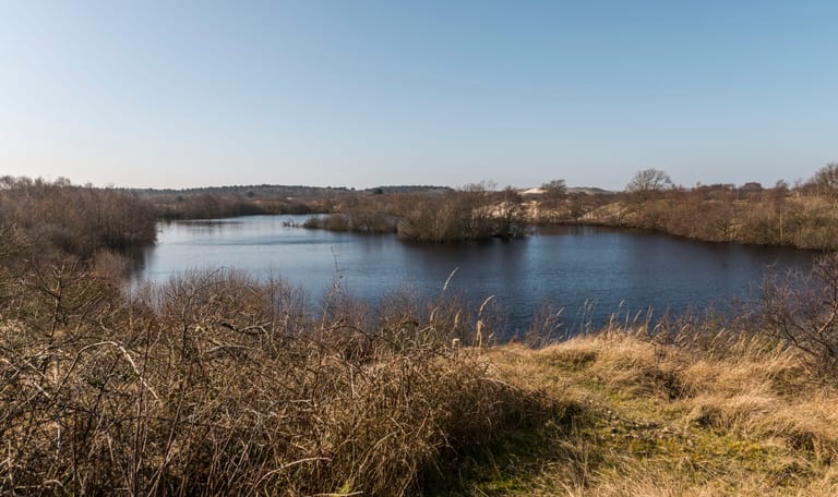 Zeepeduinen