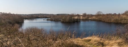 Zeepeduinen 