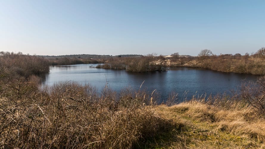 Zeepeduinen 