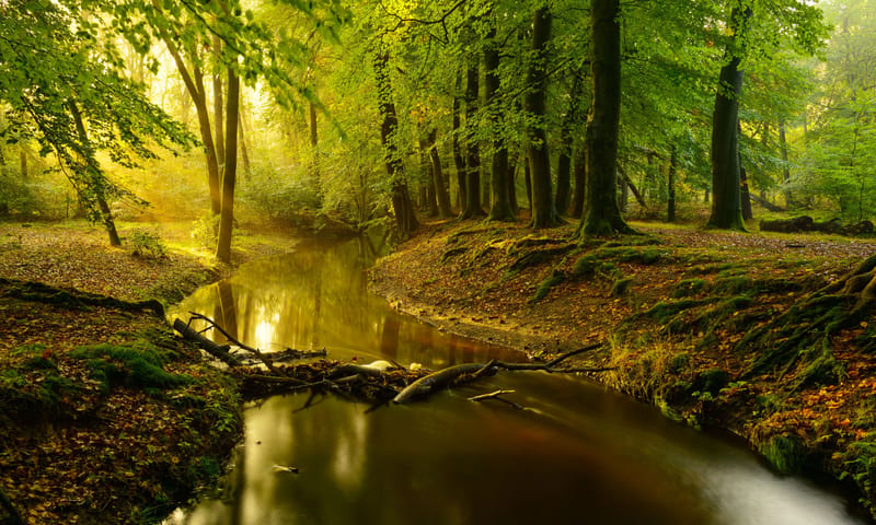 Leuvenumse Beek