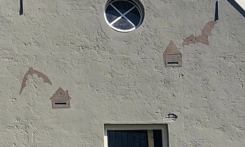 Carolinahoeve_Vleermuis