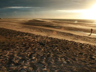 Duinen van Goeree