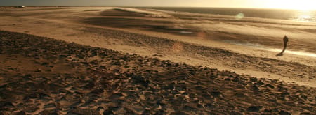 Duinen van Goeree