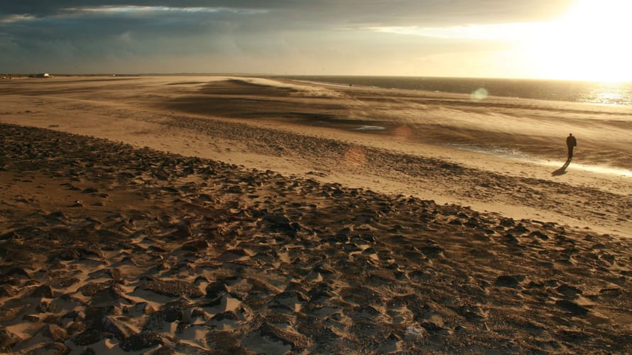 Duinen van Goeree