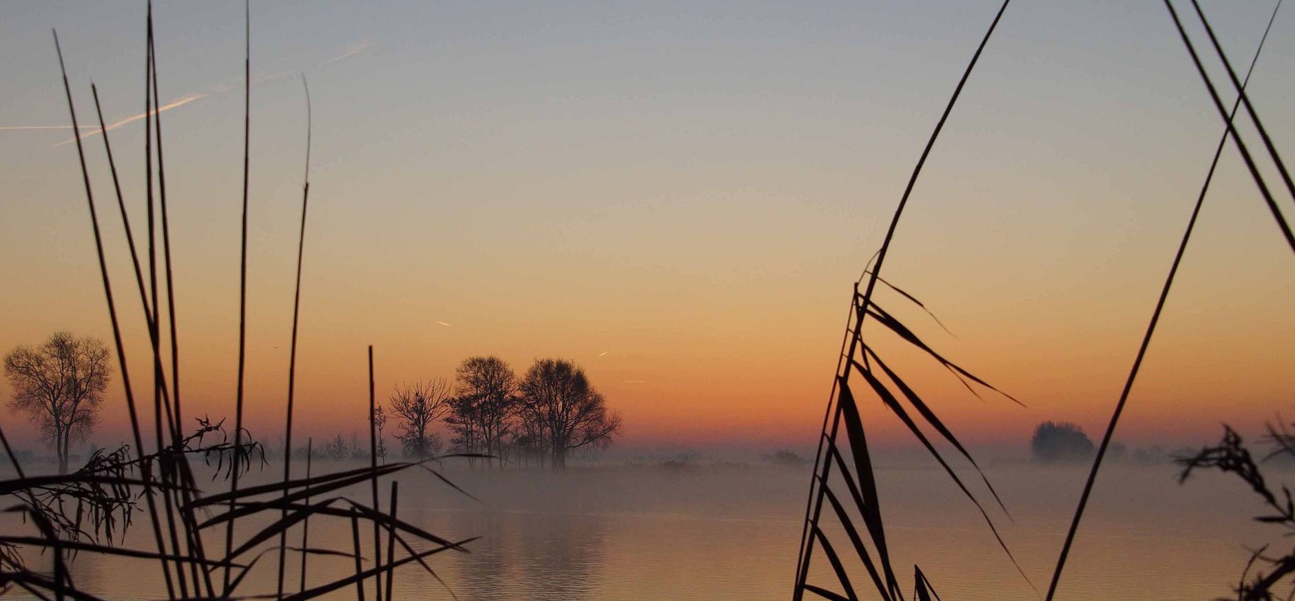 Zuid-Holland