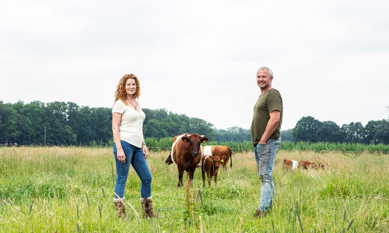 Vrienden van Velhorst