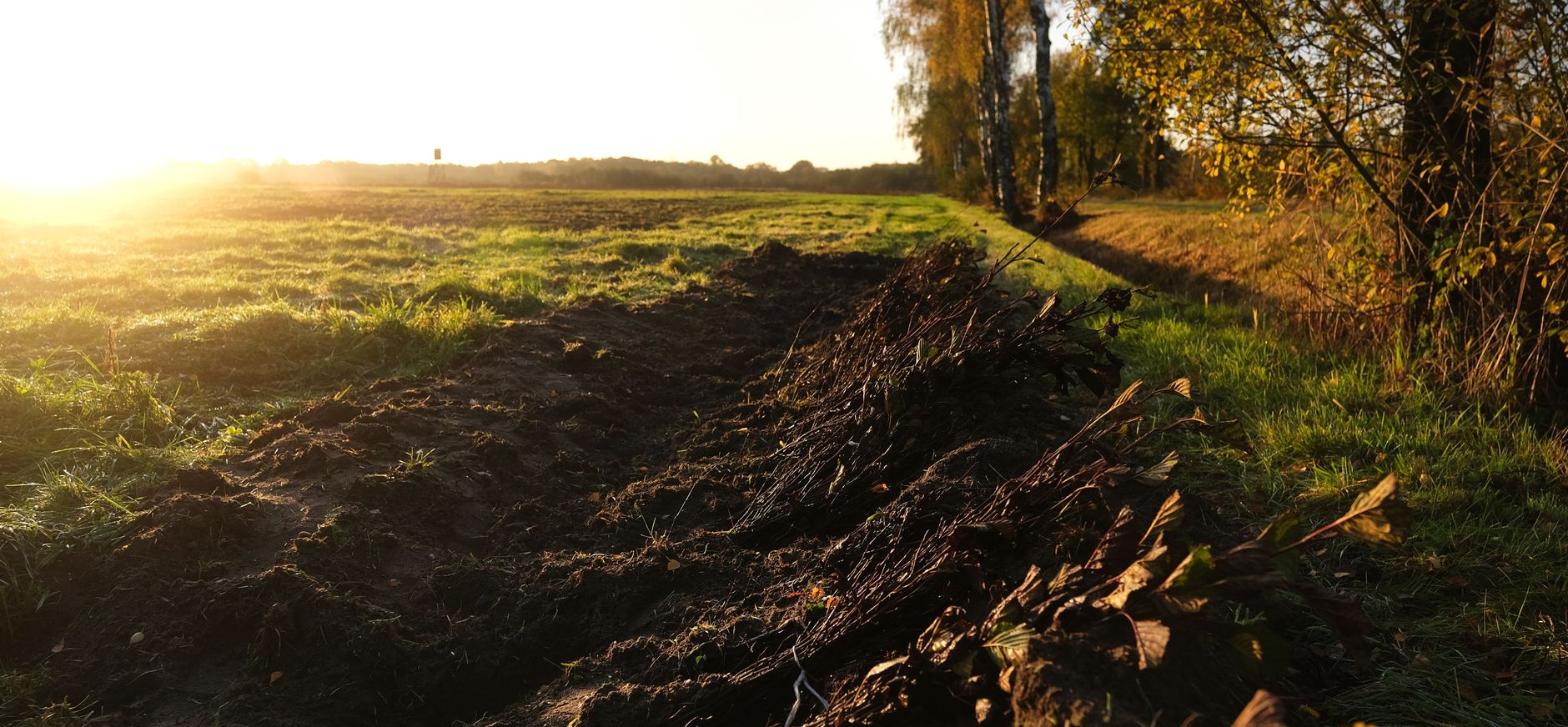 plantmateriaal Pruiskesweg
