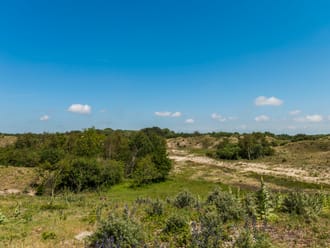 Uitzicht op met struiken begroeide duinen