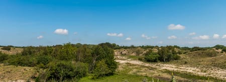 Uitzicht op met struiken begroeide duinen