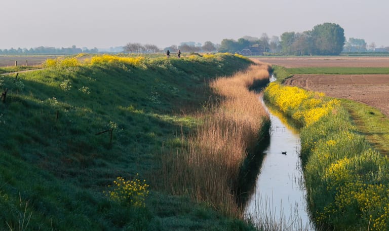 Leenheerenpolder
