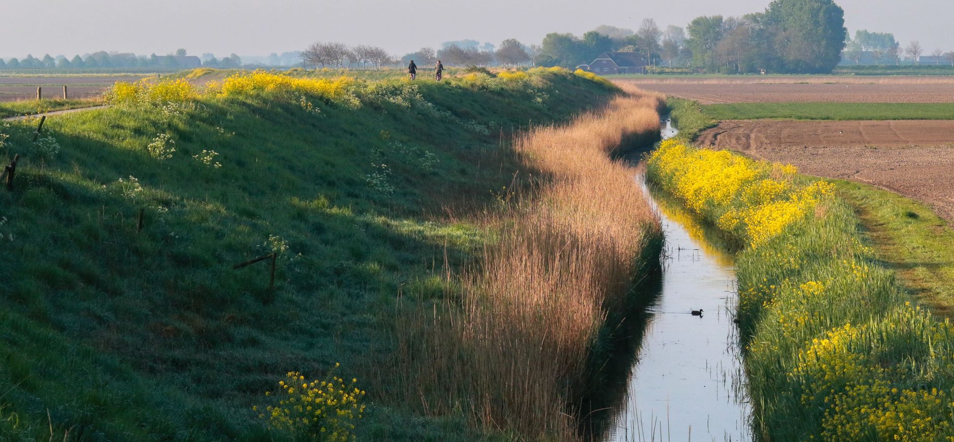 Leenheerenpolder