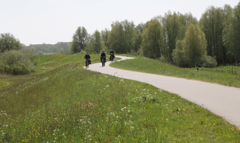 Fietsen langs de maas