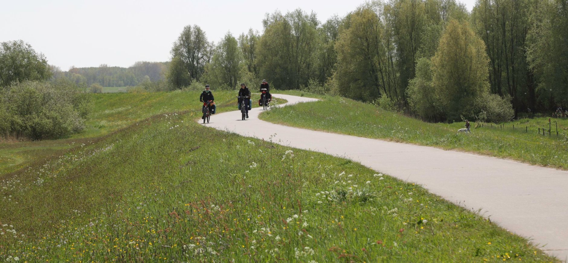 Fietsen langs de maas