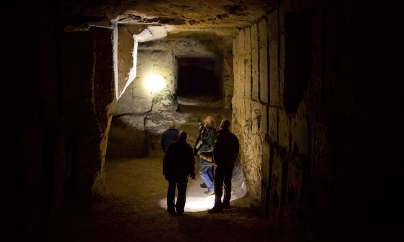 vleermuistelling Sint-Pietersberg