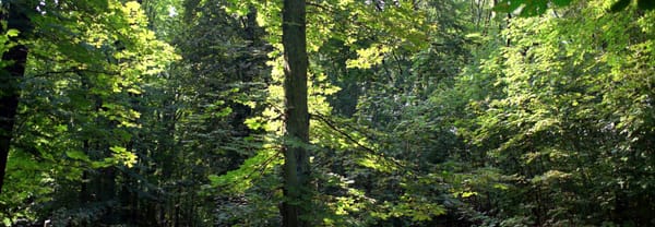 Ingang Duin en Kruidberg