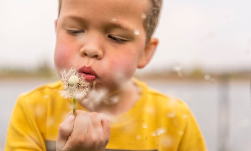 Kind met paardenbloem