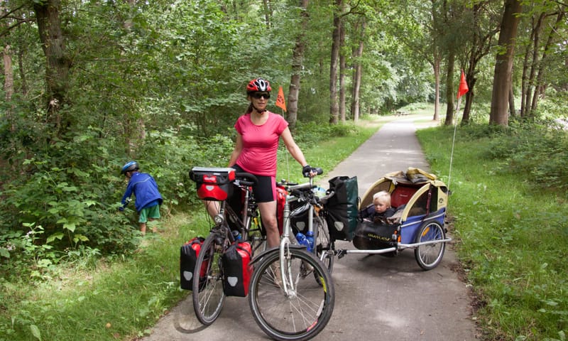 Kleintjes in de fietskar