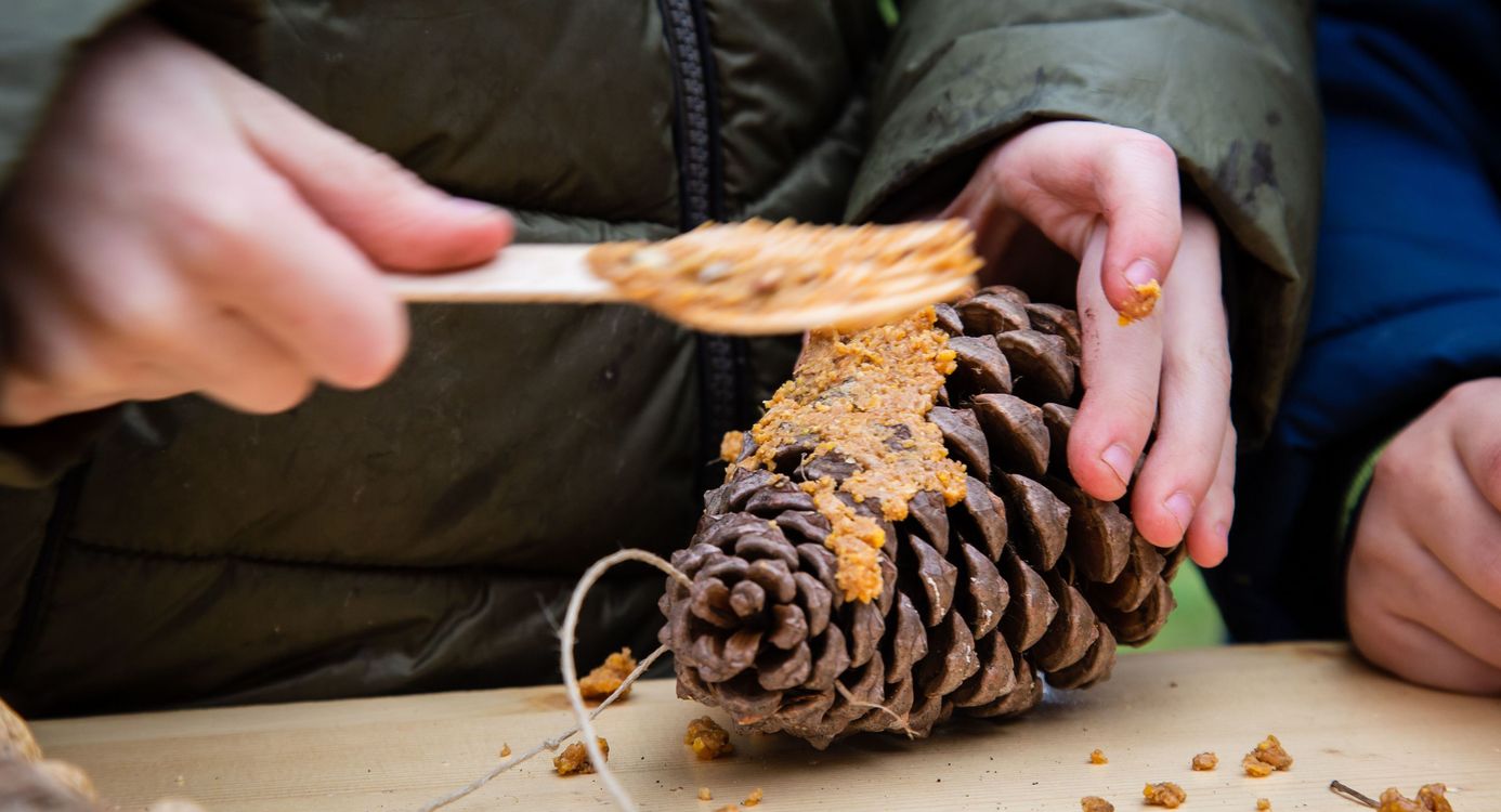 vette vogel snackbar