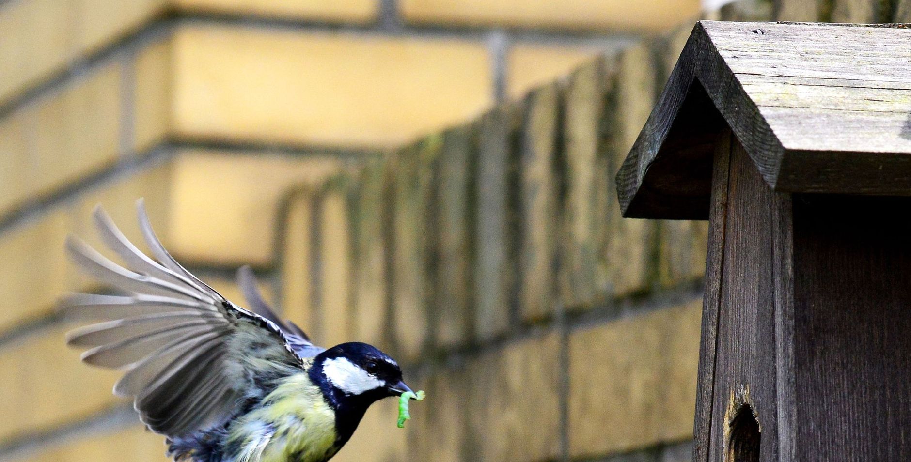 Vogelhuispakket