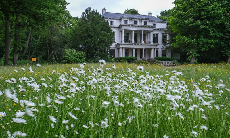 De voortuin in bloei