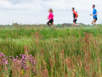 Hardlopen
