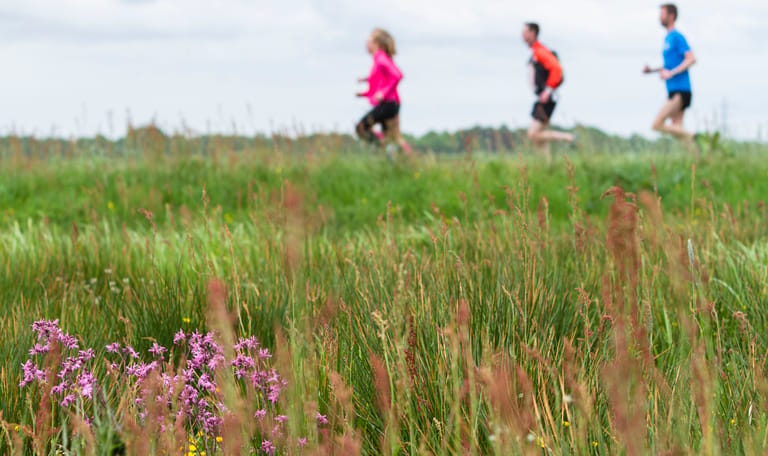 Hardlopen