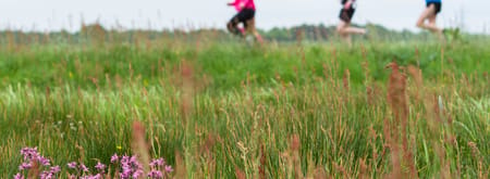 Hardlopen
