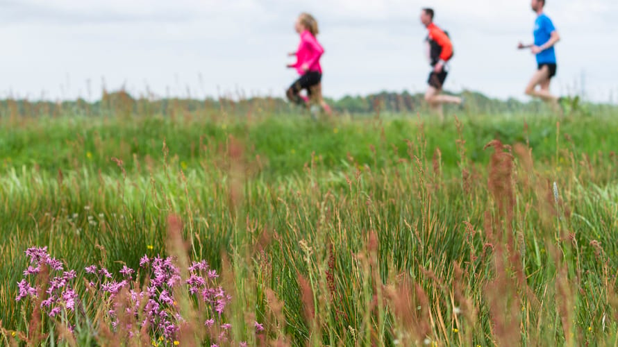 Hardlopen