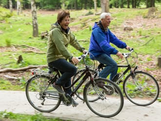 Fietsroute Dieren Veluwezoom