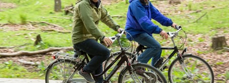 Fietsroute Dieren Veluwezoom