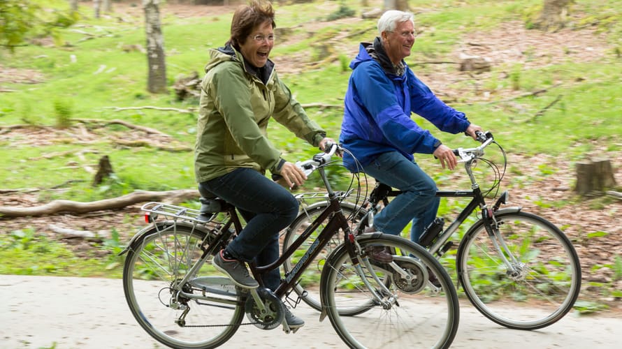 Fietsroute Dieren Veluwezoom