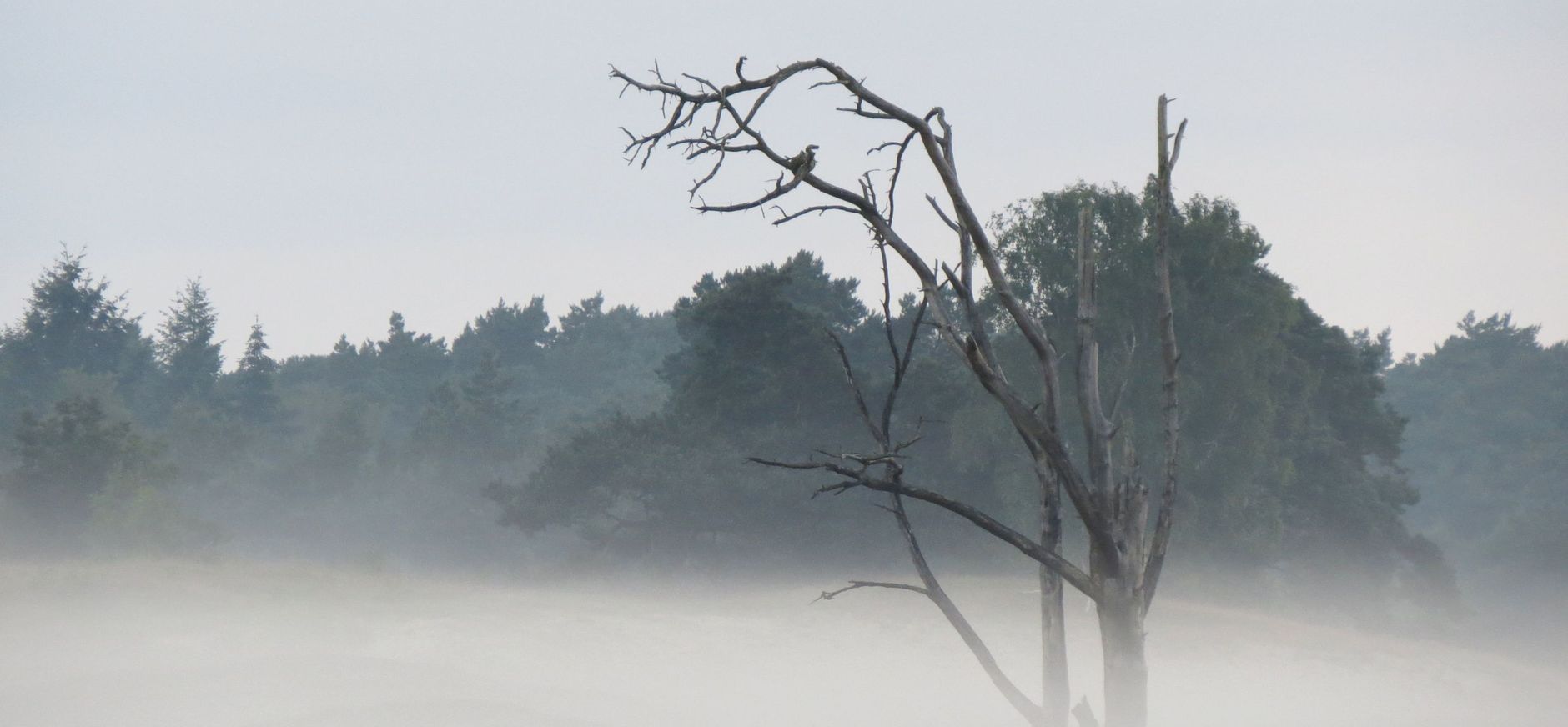 'Rokend' stuifzand tijdens een storm