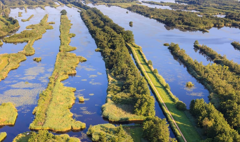 Ankeveense Plassen