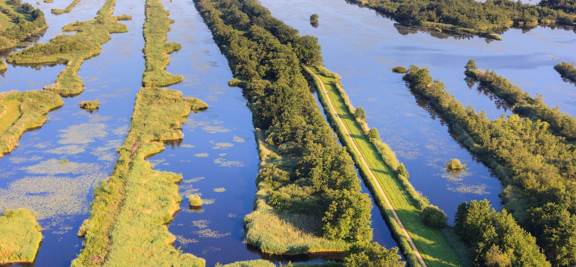 Ankeveense Plassen