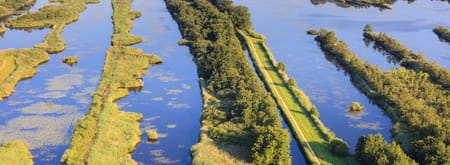 Ankeveense Plassen