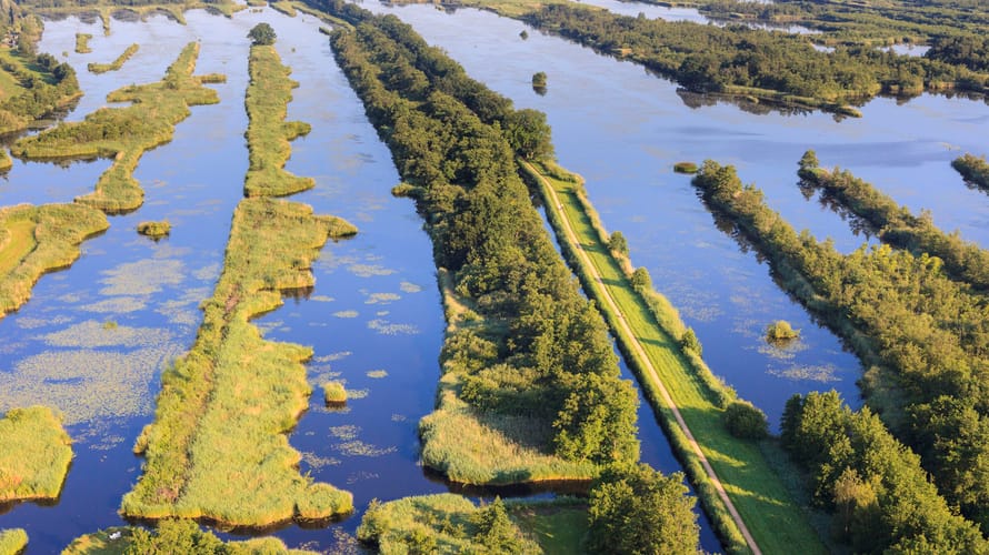 Ankeveense Plassen