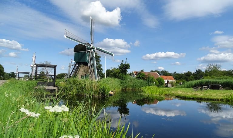 Molen de Trouwe Wachter