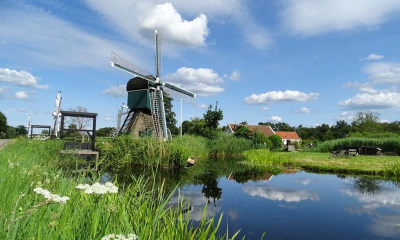 Molen de Trouwe Wachter