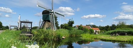 Molen de Trouwe Wachter