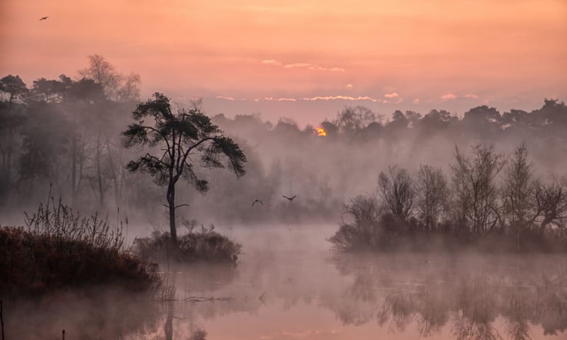 Kampina zonsondergang