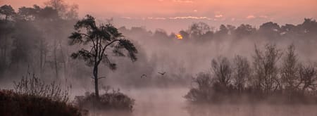 Kampina zonsondergang