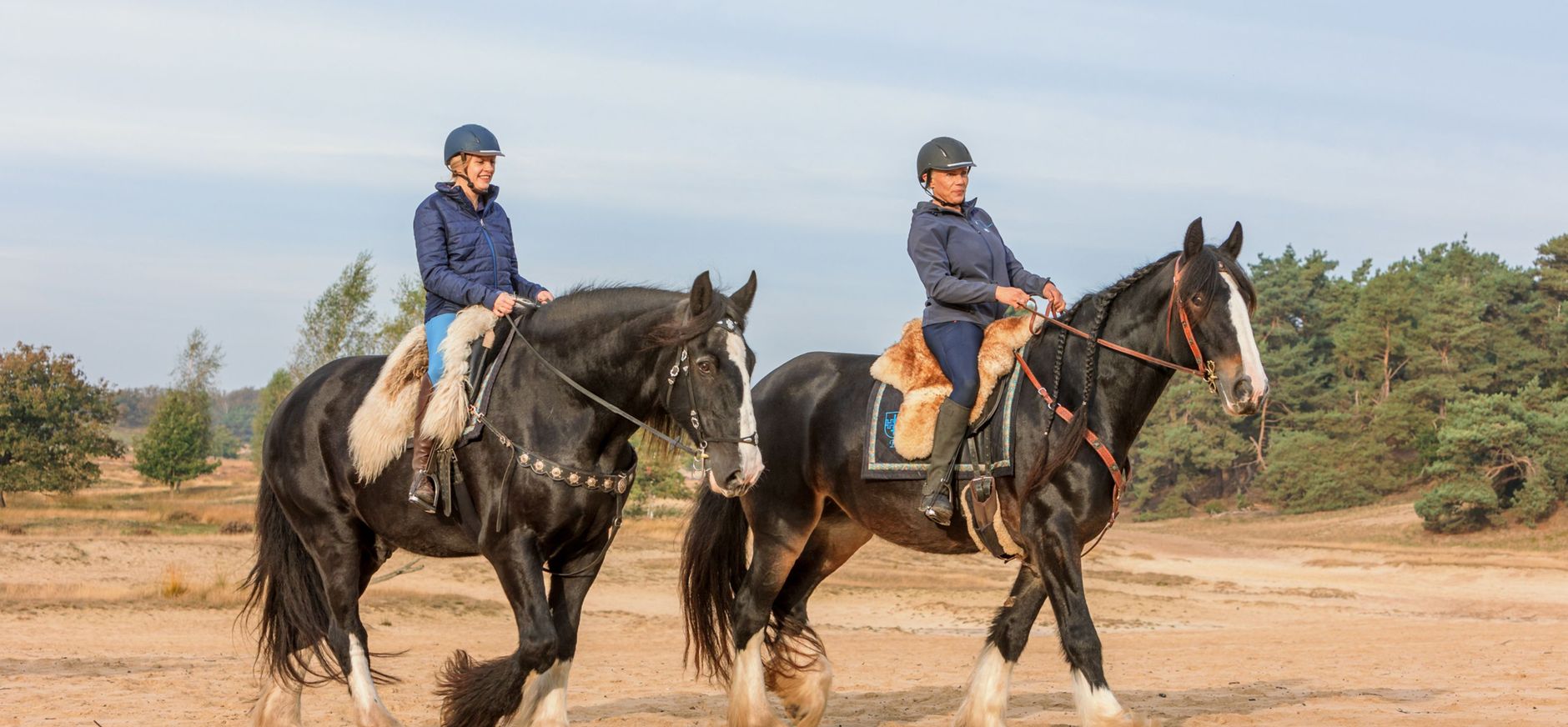Ruiterlabel algemene voorwaarden verkooppunten
