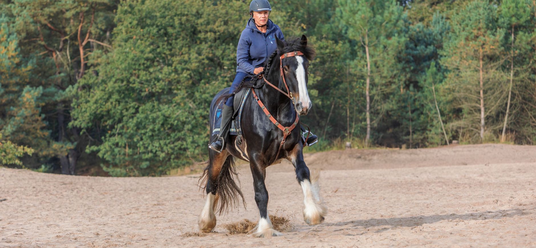 Algemene voorwaarden ruiterlabels 