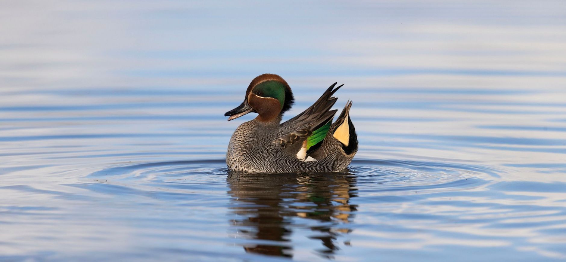 Wintertaling
