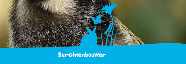 Burchtenbouwer