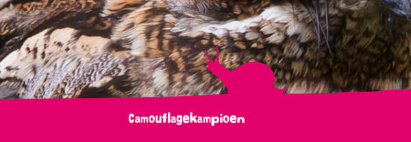 Camouflagekampioen