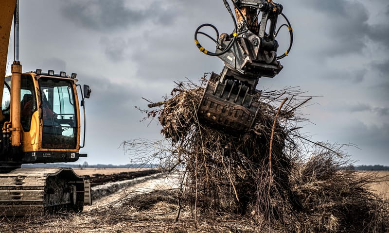 Bouw reptielenverblijf